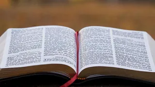 Bibel im Wald